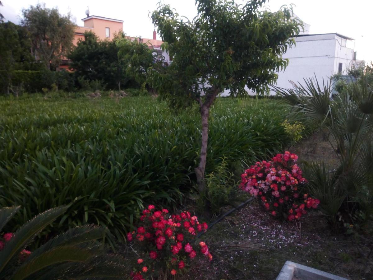 Santa Maria La Carità La Maison Di Sara מראה חיצוני תמונה